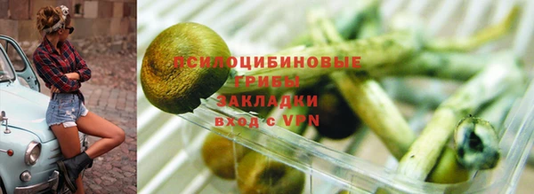 шишки Заволжье