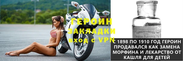 шишки Заволжье