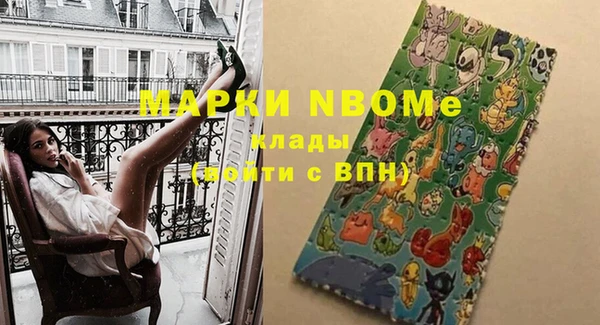 шишки Заволжье