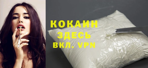шишки Заволжье