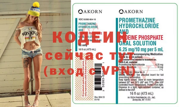 шишки Заволжье