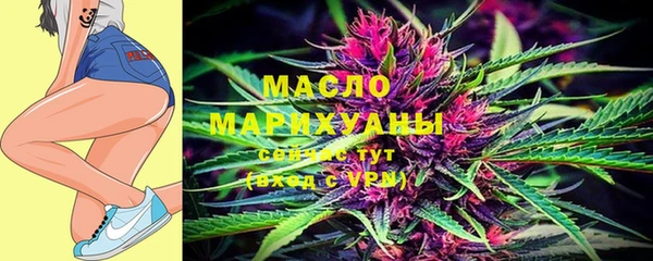 шишки Заволжье